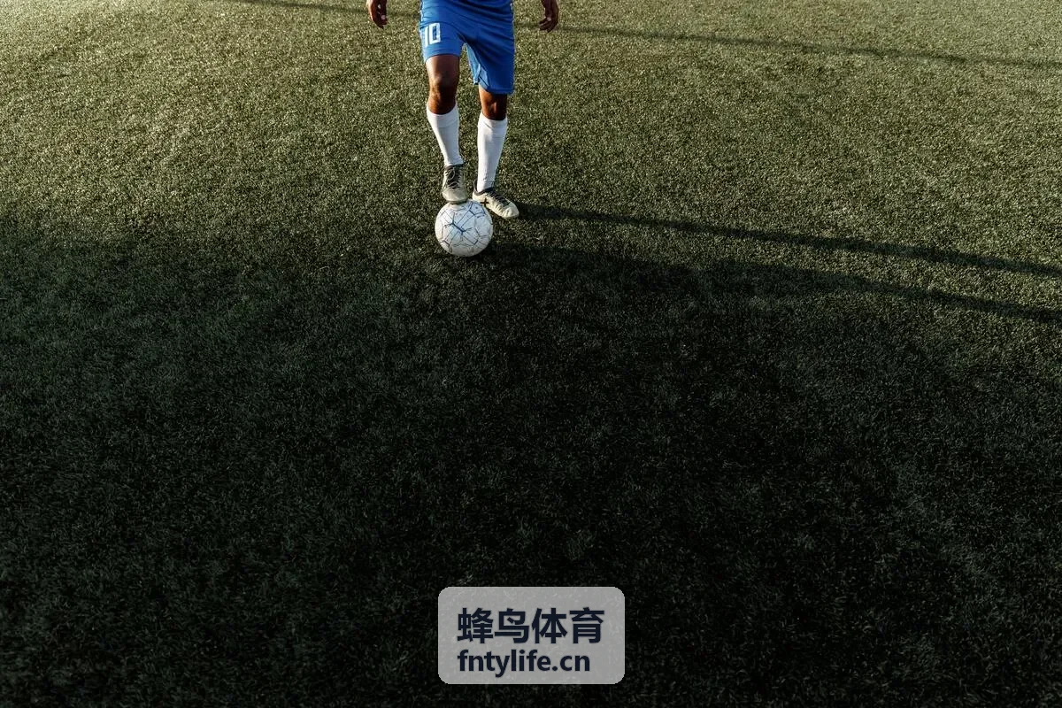 蜂鸟体育力量训练器材